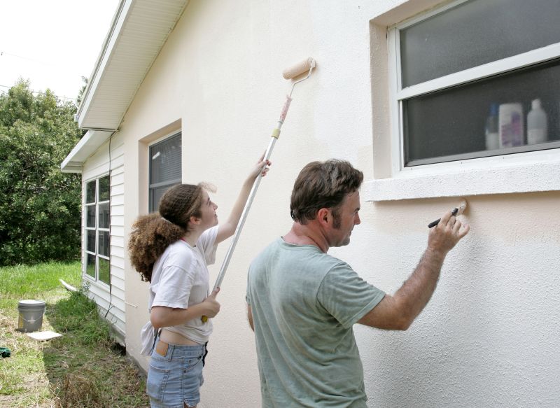 Cladding Painting in Longmont, CO